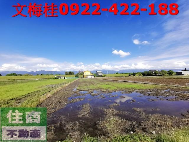 宜蘭縣壯圍鄉壯東段農地出售