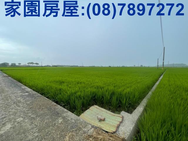 屏東萬丹農地-2