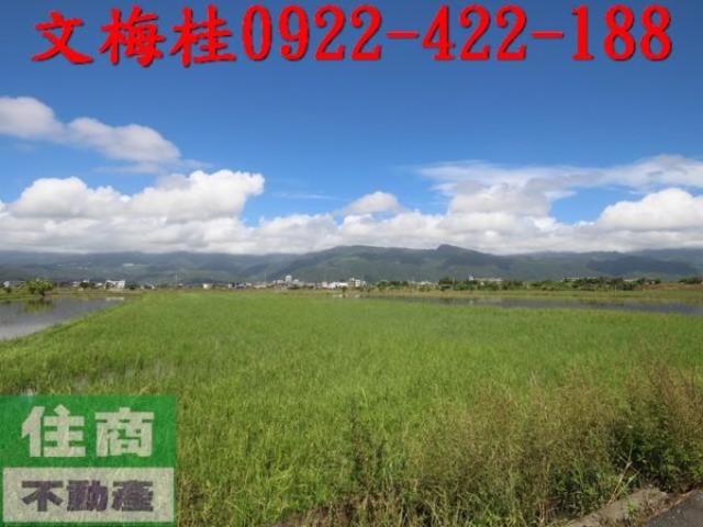 宜蘭礁溪農地-2