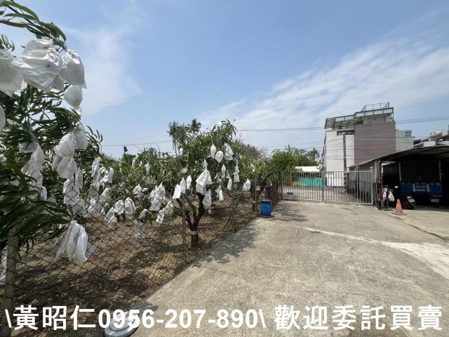 歸仁農地-2