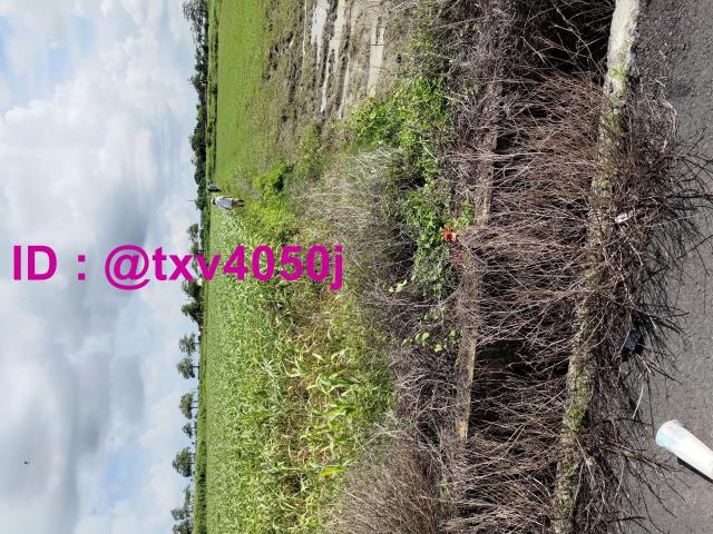 台南將軍農地-2