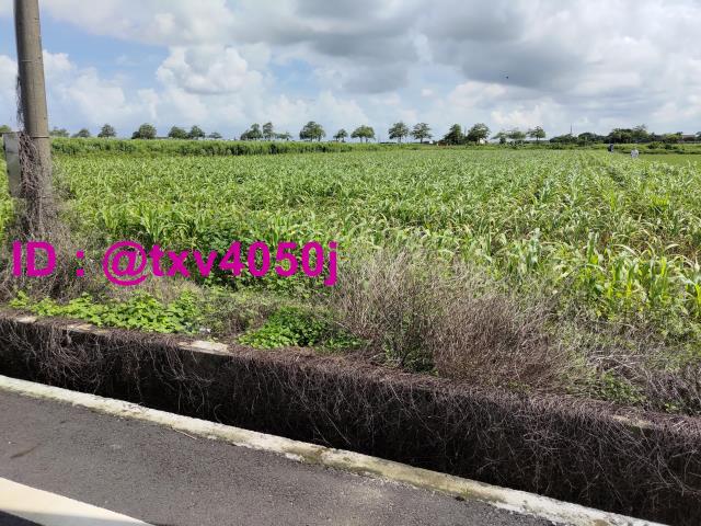 台南將軍農地-3