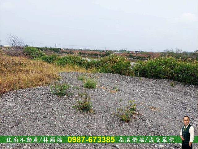 台南農地-5