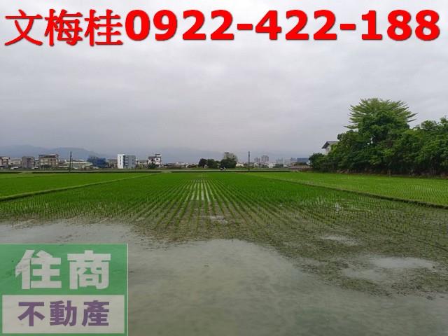 宜蘭縣員山鄉深賢段農地出售