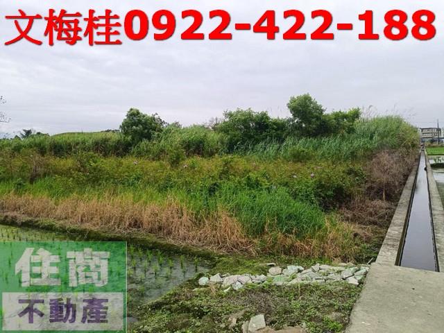 宜蘭宜蘭市農地-3