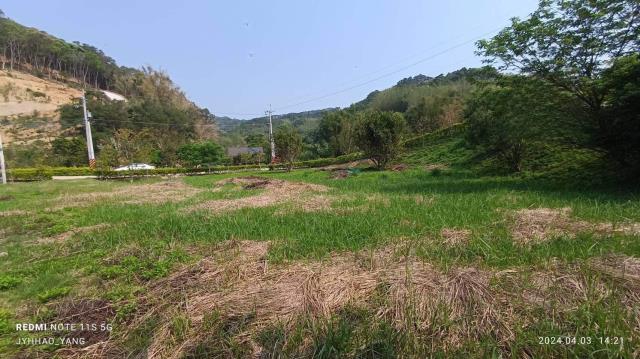 苗栗通霄農地-2