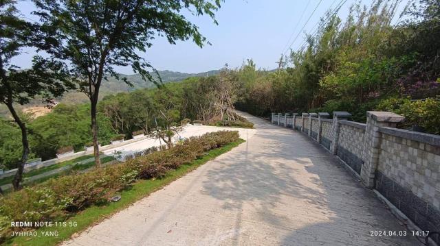 苗栗通霄農地-5