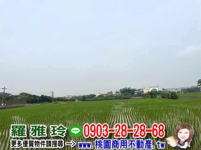 桃園新屋農地-0