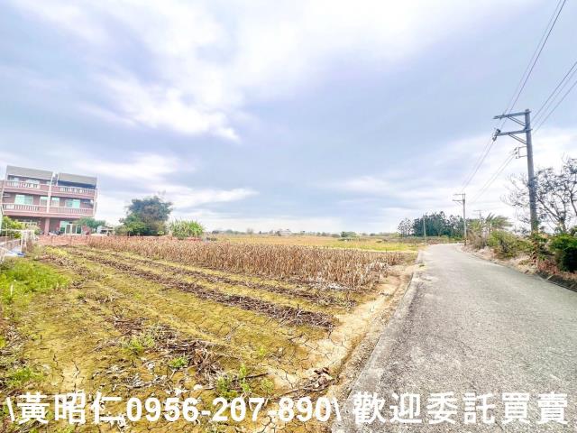 台南七股農地-5