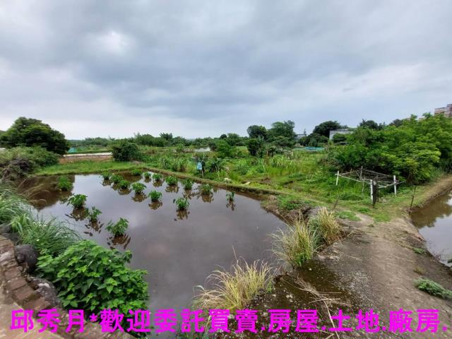 三芝農地-2