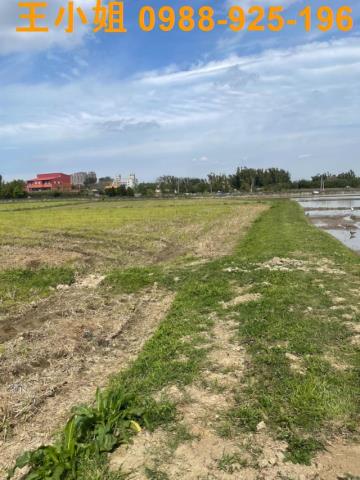 龍潭大北坑農地出售