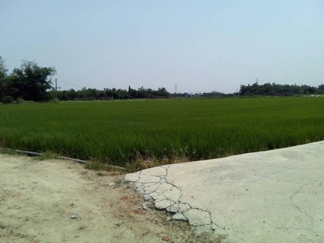 嘉義大林農地-3