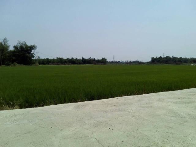 嘉義大林農地-5