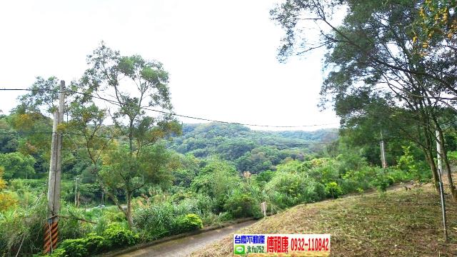 新竹竹東農地-14