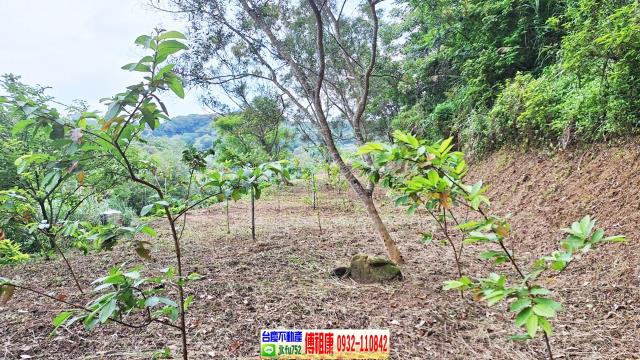 新竹縣寶山鄉農地農舍休閒地