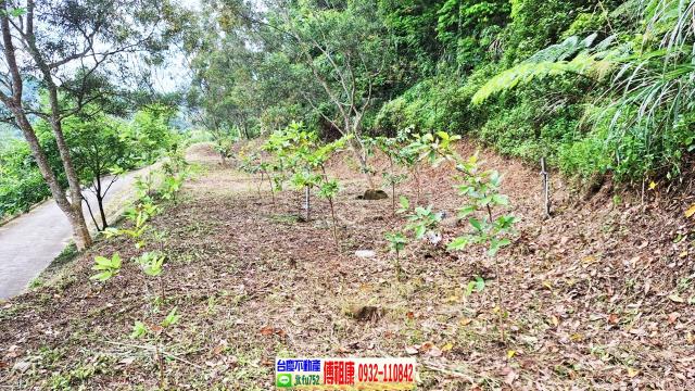 新竹竹東農地-1