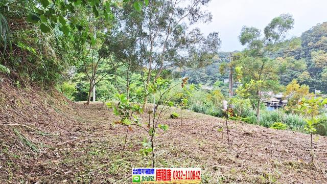 新竹竹東農地-3