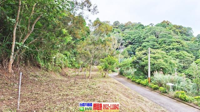 新竹竹東農地-4