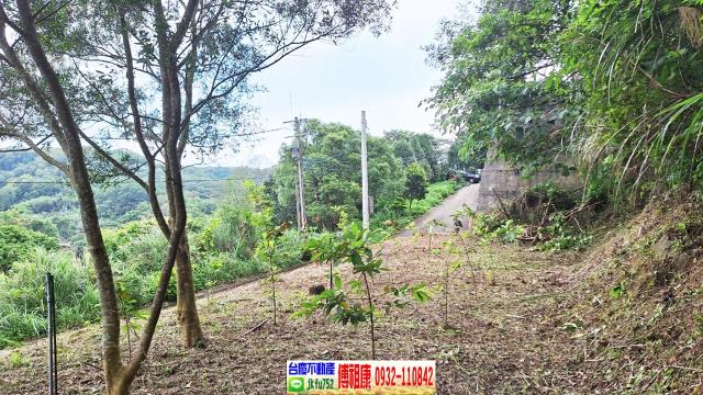 新竹竹東農地-5