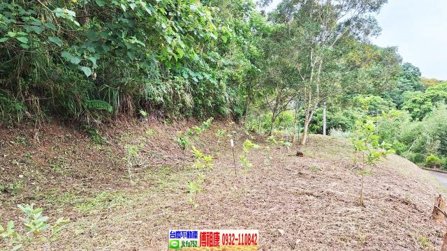 新竹竹東農地-7