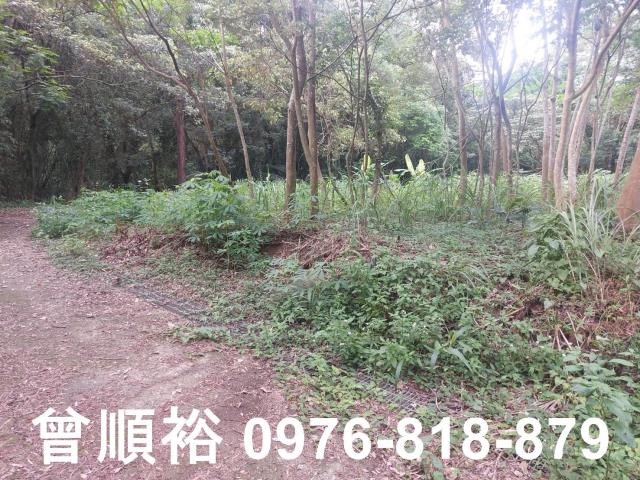 三合院建地加農地老宅院平房老屋整建