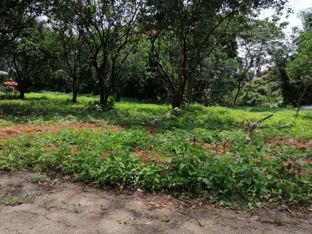 桃園龍潭農地-1