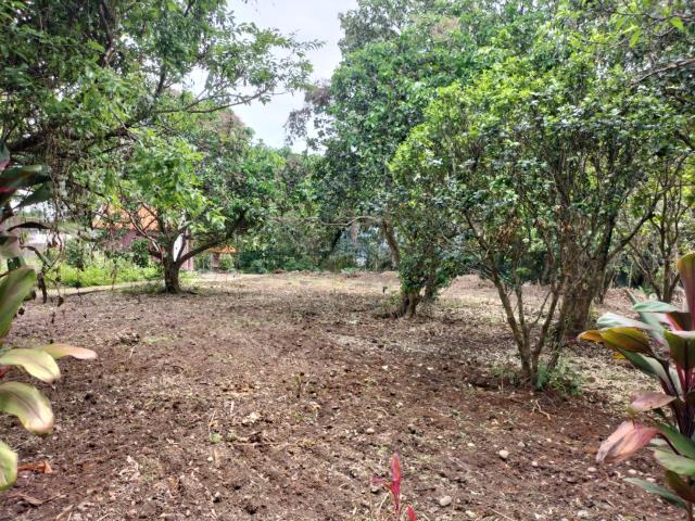 桃園龍潭農地-3