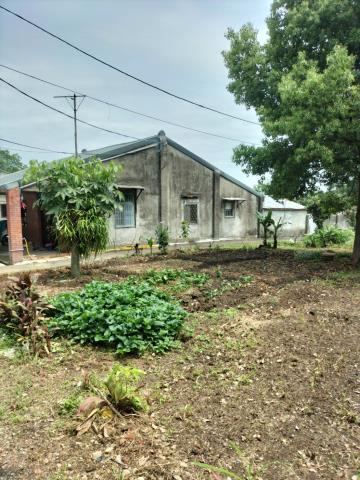 桃園龍潭農地-5