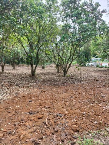 桃園龍潭農地-7