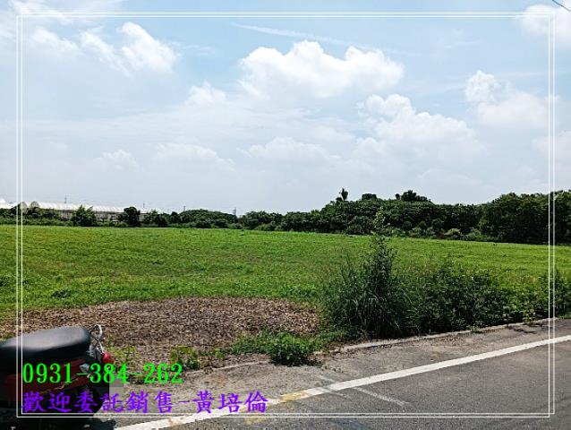 佳里近信義國小農地