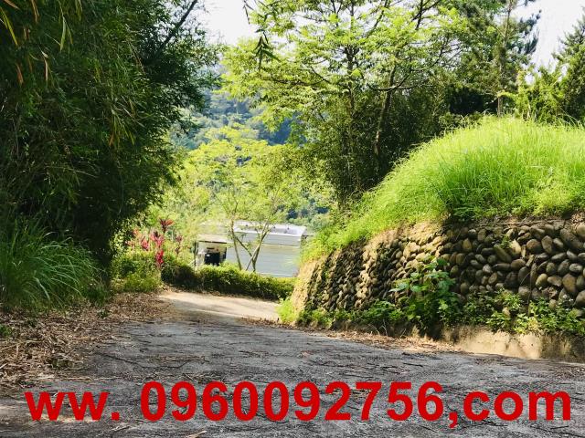 新竹縣新埔鎮南平居高臨下全景觀農地春明地產