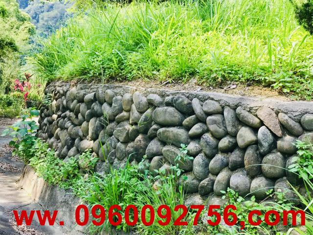 新竹芎林農地-1