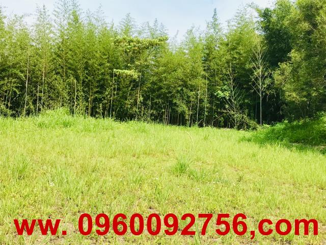 新竹芎林農地-2