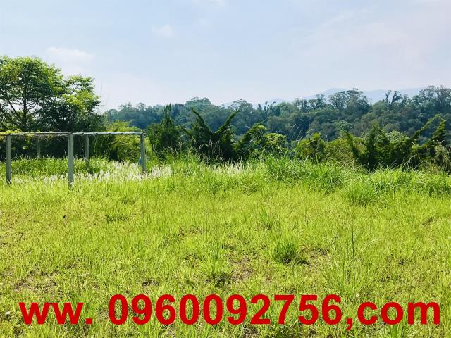 新竹芎林農地-3