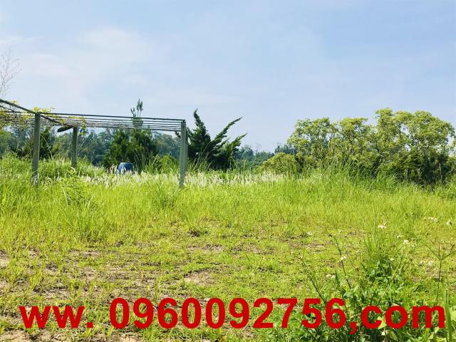 新竹芎林農地-4