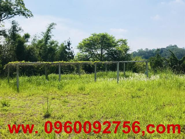 新竹芎林農地-5