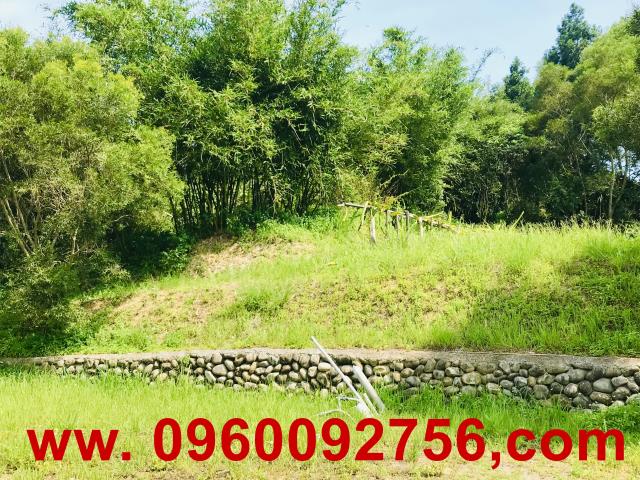 新竹芎林農地-6