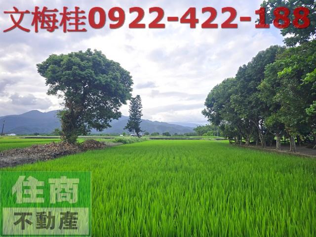 宜蘭三星農地-9