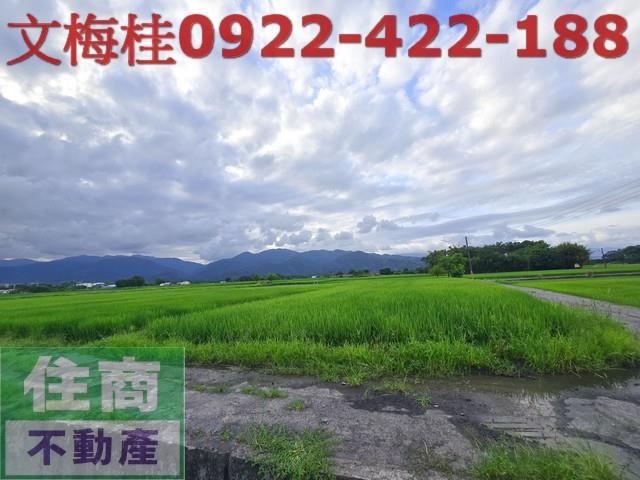 宜蘭三星農地-2