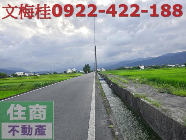 宜蘭三星農地-3