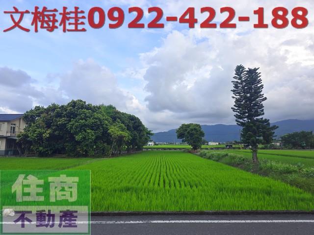 宜蘭三星農地-5