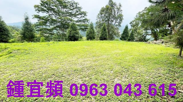 竹東農地竹東土地