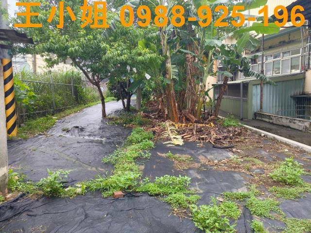 桃園桃園區農地-1