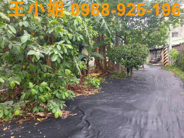 桃園桃園區農地-2