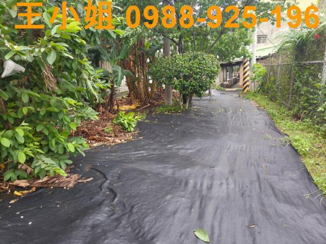 桃園桃園區農地-3