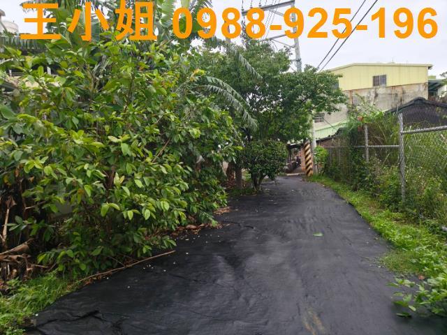 桃園桃園區農地-4