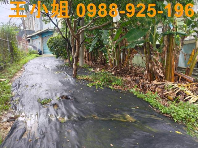 桃園桃園區農地-5