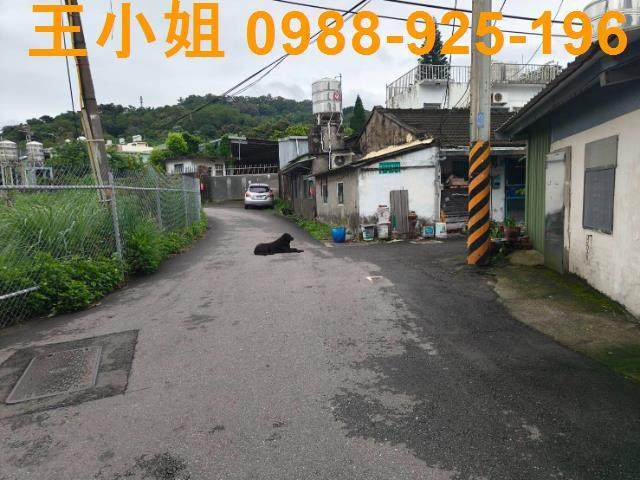 桃園桃園區農地-7