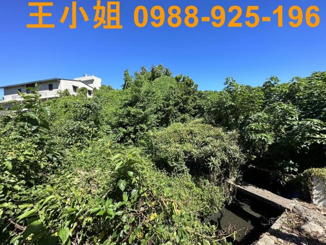 桃園桃園區農地-1