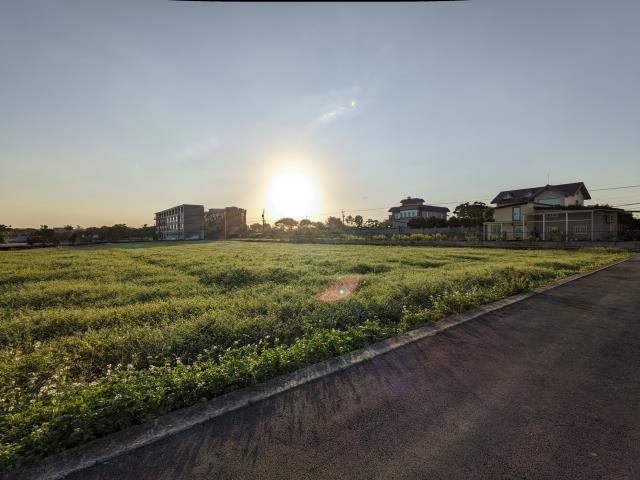 中壢農地-0